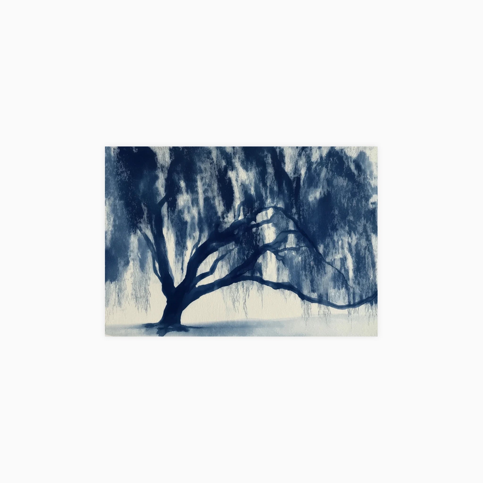 Banyan Tree Canopy Silhouette Poster