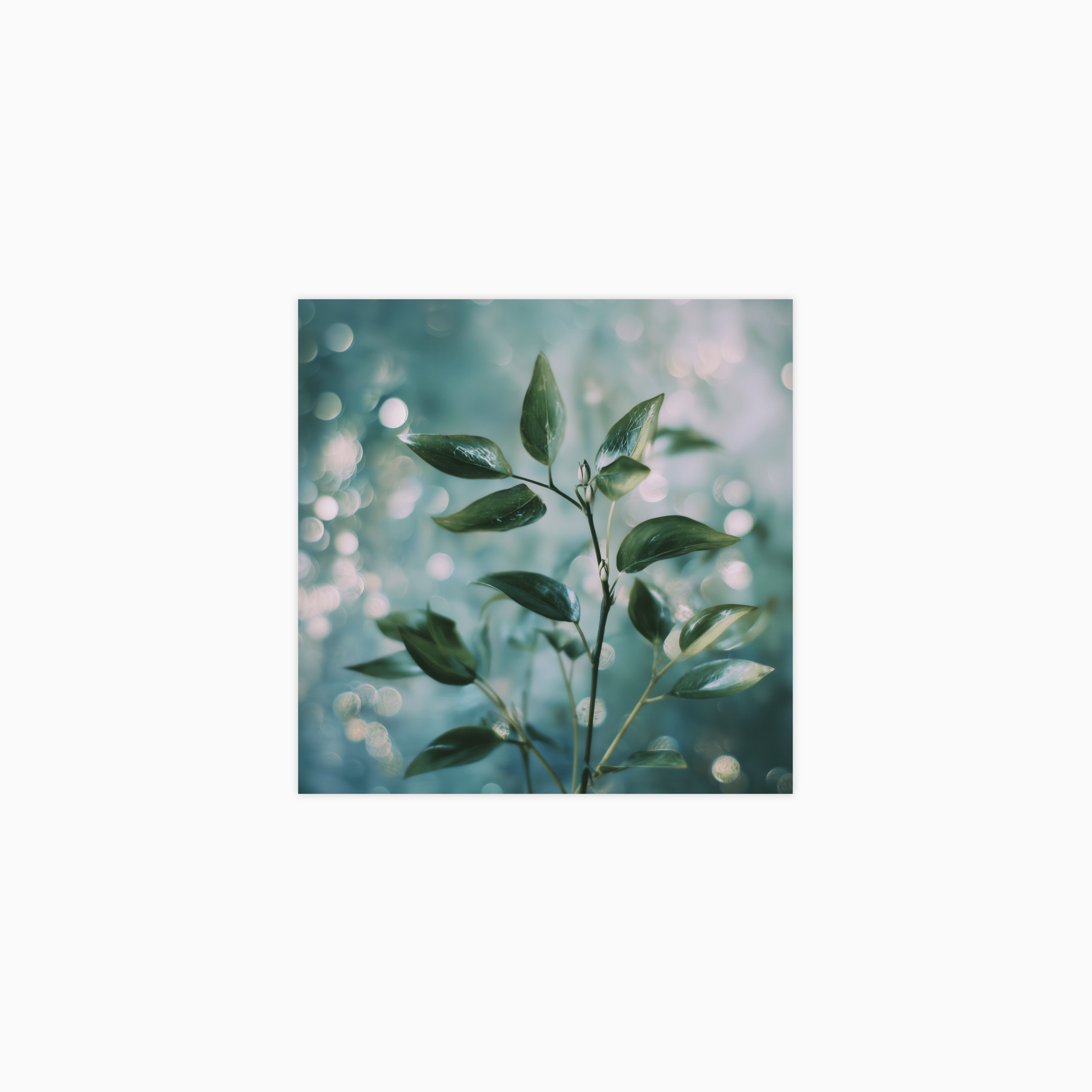 Bokeh Botanics No 02 Poster