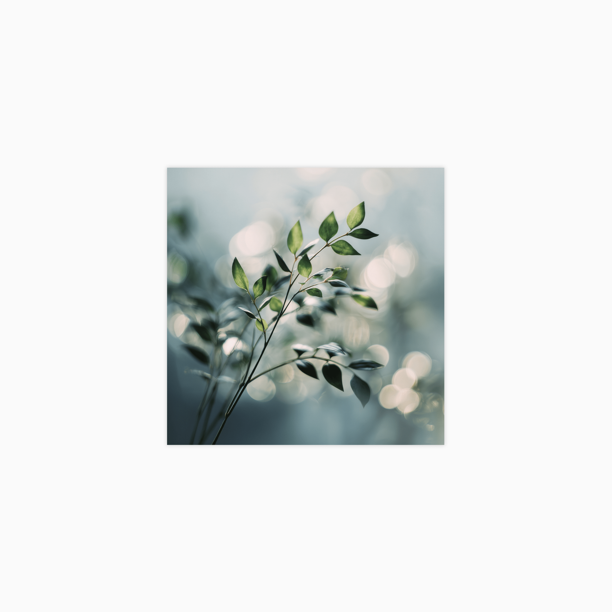 Bokeh Botanics No 04 Poster